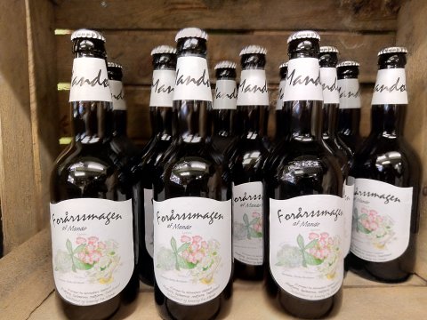 For�rssmagen af Mand�